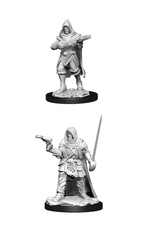 Pathfinder Battles - Male Human Rogue